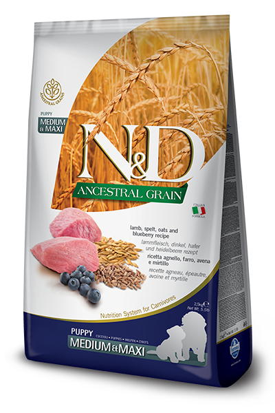 N&D ANCESTRAL GRAIN PUPPY LAMB AND BLUEBERRY 26.4lb-Four Muddy Paws