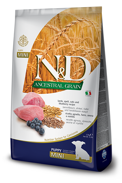 N&D ANCESTRAL GRAIN PUPPY LAMB AND BLUEBERRY MINI 5.5lb-Four Muddy Paws