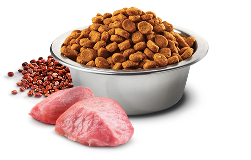 N&D QUINOA GRAIN FREE ADULT CAT DRY DIGESTION LAMB 3.3lb-Four Muddy Paws