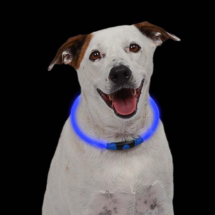 NIGHTHOWL LED SAFETY NECKLACE BLUE-Four Muddy Paws