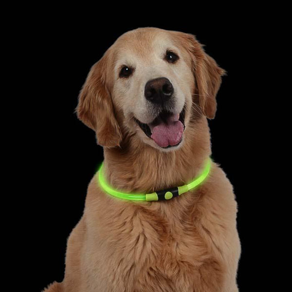 NIGHTHOWL LED SAFETY NECKLACE GREEN-Four Muddy Paws