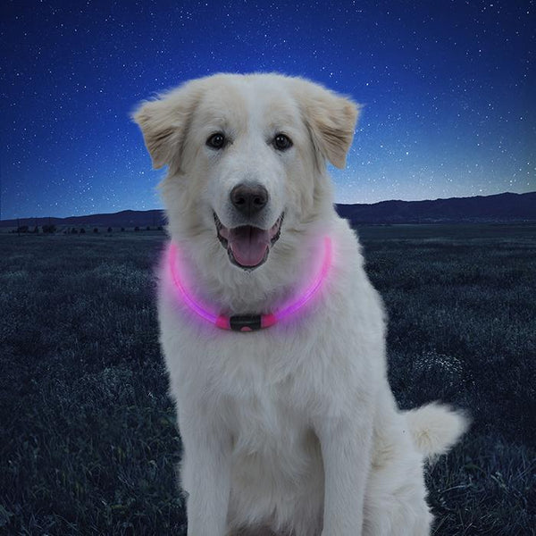 NIGHTHOWL LED SAFETY NECKLACE PINK-Four Muddy Paws