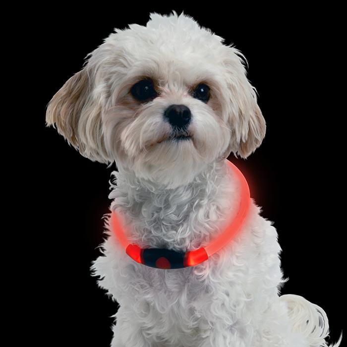 NIGHTHOWL LED SAFETY NECKLACE RED-Four Muddy Paws