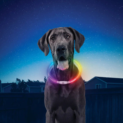 NITEHOWL LED SAFETY NECKLACE RECHARGEABLE DISCO-Four Muddy Paws