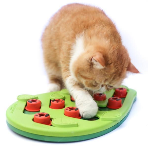 https://shop.fourmuddypaws.com/cdn/shop/products/Nina-Ottosson-Cat-Buggin-Out-Puzzle-Play-Level-2-Four-Muddy-Paws-3_3d51ce3d-1e08-4d0f-81f3-1a3639cff054.jpg?v=1638236335&width=800