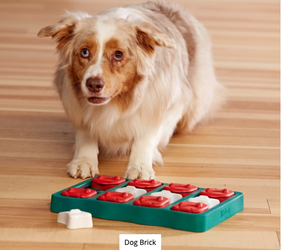 MULTIPUZZLE - DOG PUZZLE GAME - Nina Ottosson Treat Puzzle Games for Dogs &  Cats
