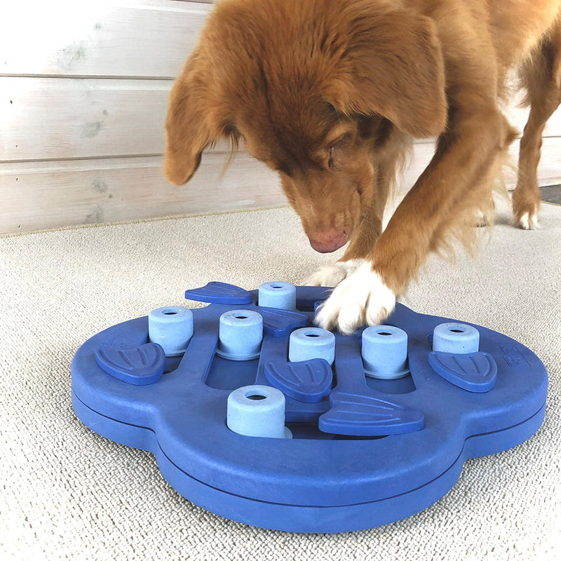 Nina Ottosson Hide N' Slide Interactive Treat Puzzle Dog Toy