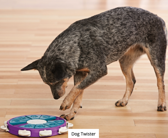 Dog Casino Interactive Treat Puzzle Dog Toy, Advanced 