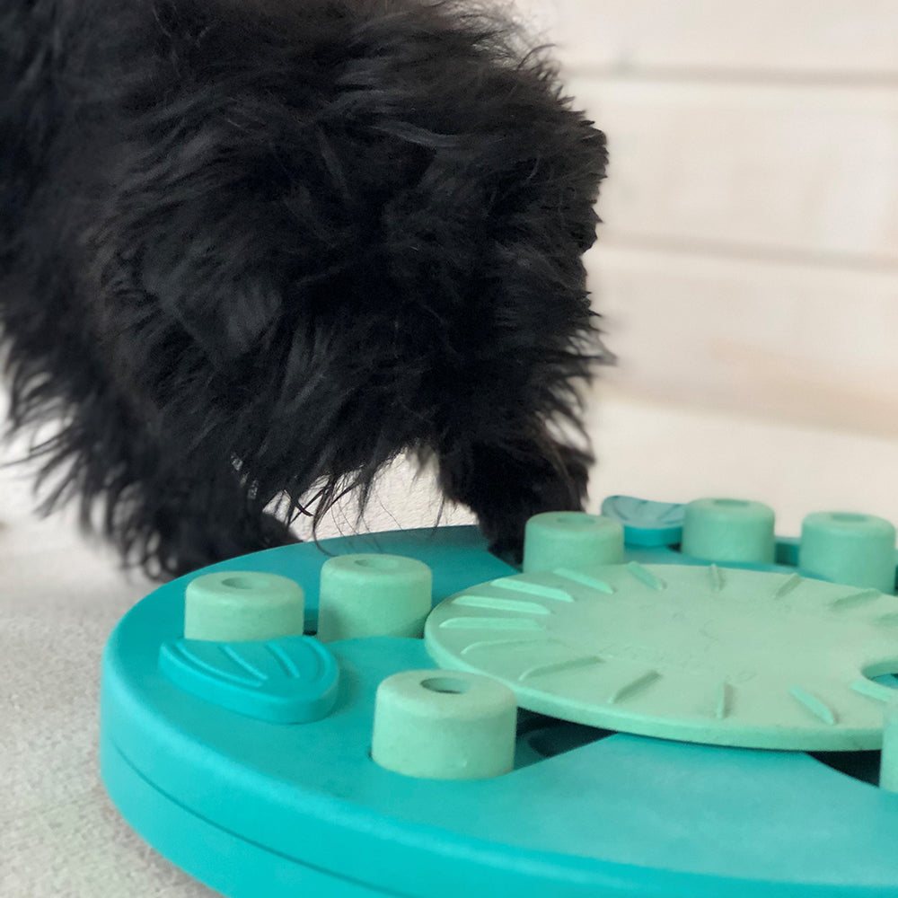 Nina Ottosson Dog Treat Maze Interactive Dog Toy