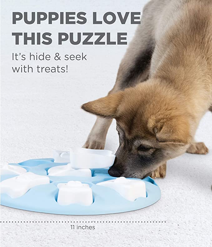 Should you buy a Level 4 dog puzzle? (Nina Ottosson MultiPuzzle