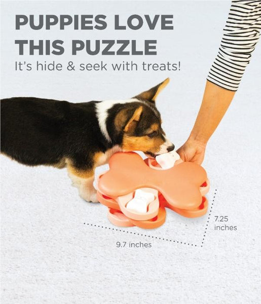 Nina Ottosson Dog Puzzles, Level 2: Intermediate Dog Treat Puzzles