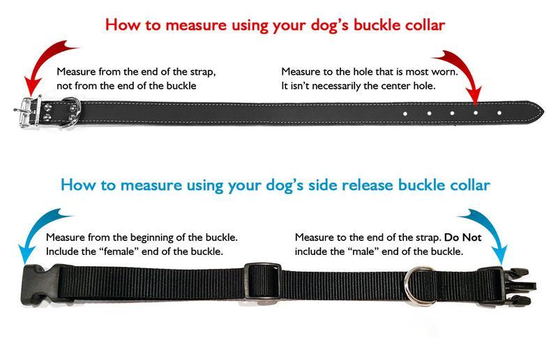 No Stink Waterproof Collars-Four Muddy Paws