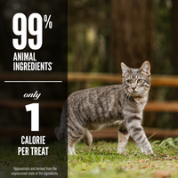 Orijen Regional Red Cat Treat 1.25oz-Four Muddy Paws