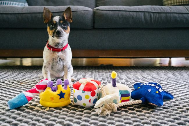 Party Time Bone Appetit Cake Dog Toy - Mini-Four Muddy Paws