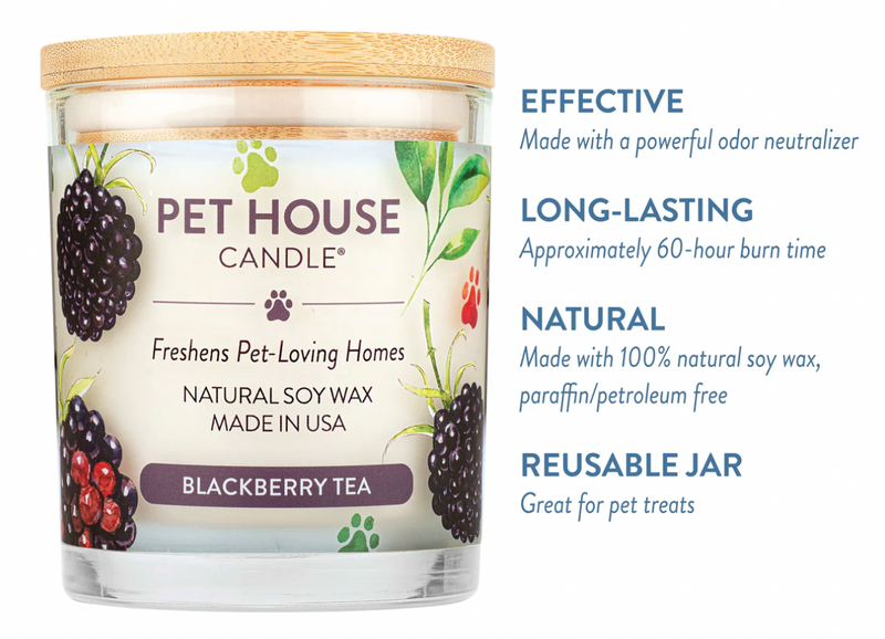 Pet House Candle Blackberry Tea 9oz Jar-Four Muddy Paws