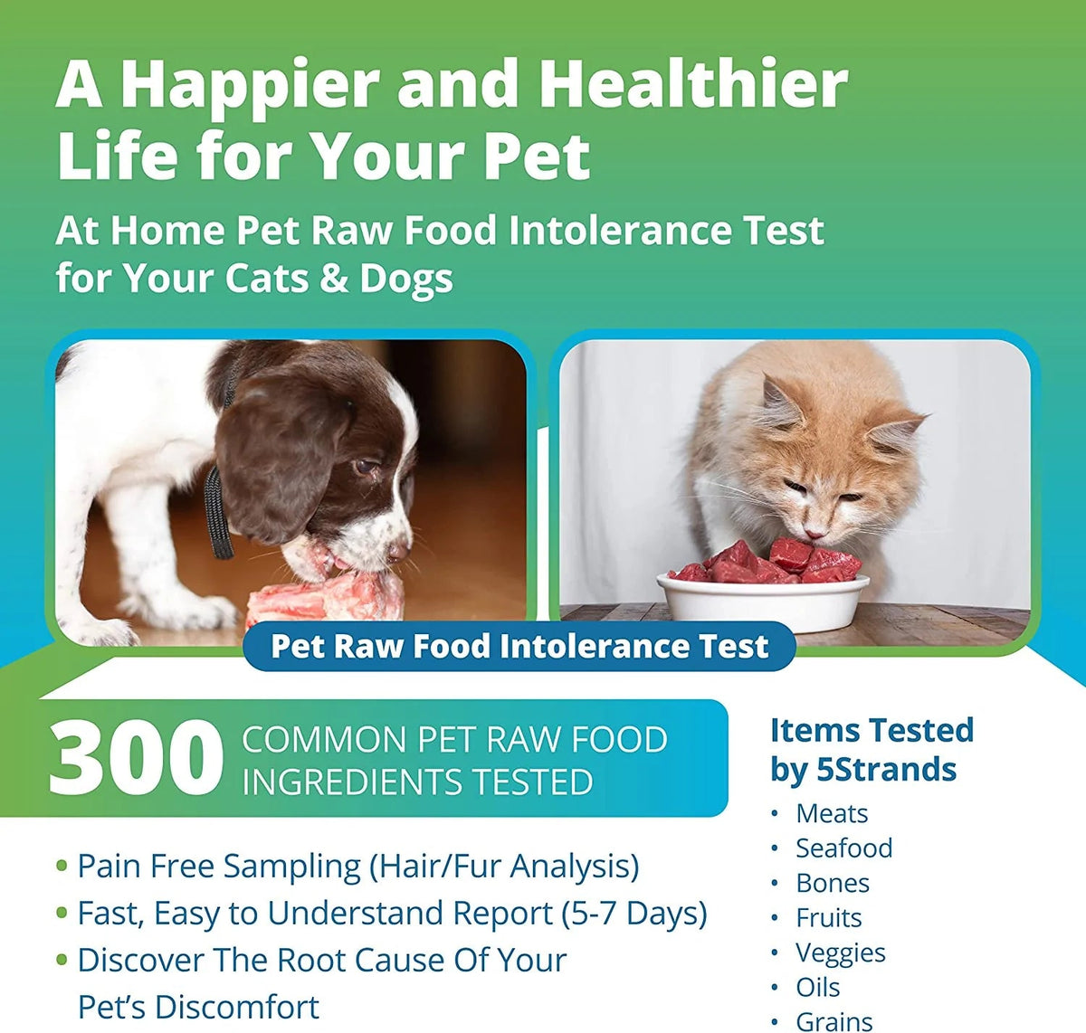 Pet Raw Food Intolerance Test 5strands Test Kit-Four Muddy Paws