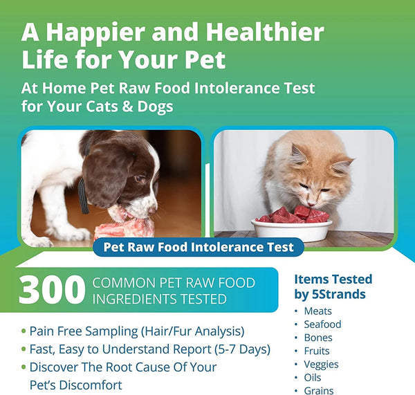 Pet Raw Food Intolerance Test 5strands Test Kit Four Muddy Paws