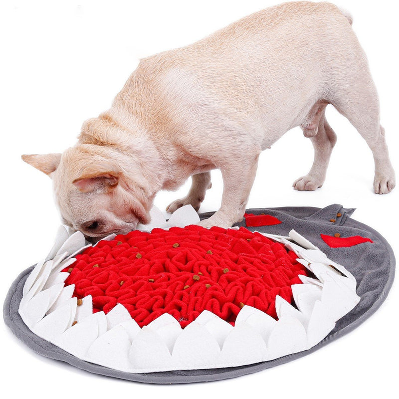 Make a Snuffle Mat for Your Dog - FOUR PAWS International - Animal