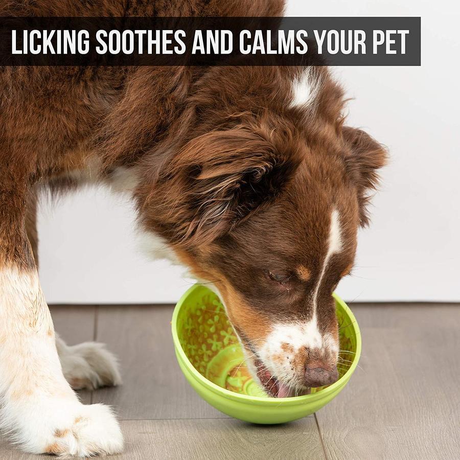 Dog licking outlet bowl