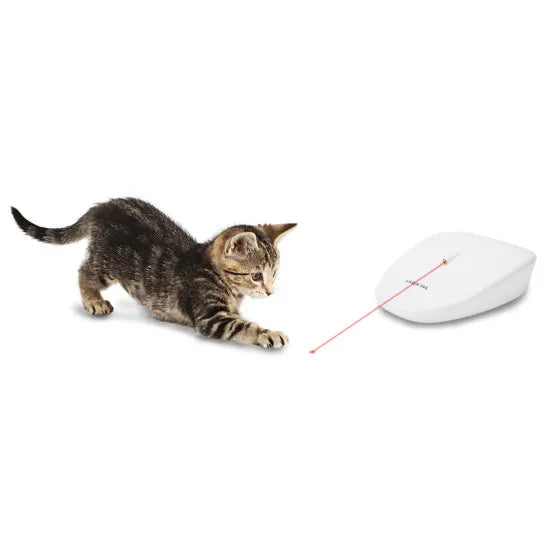 PetSafe Automatic Laser Tail Light Cat Toy-Four Muddy Paws