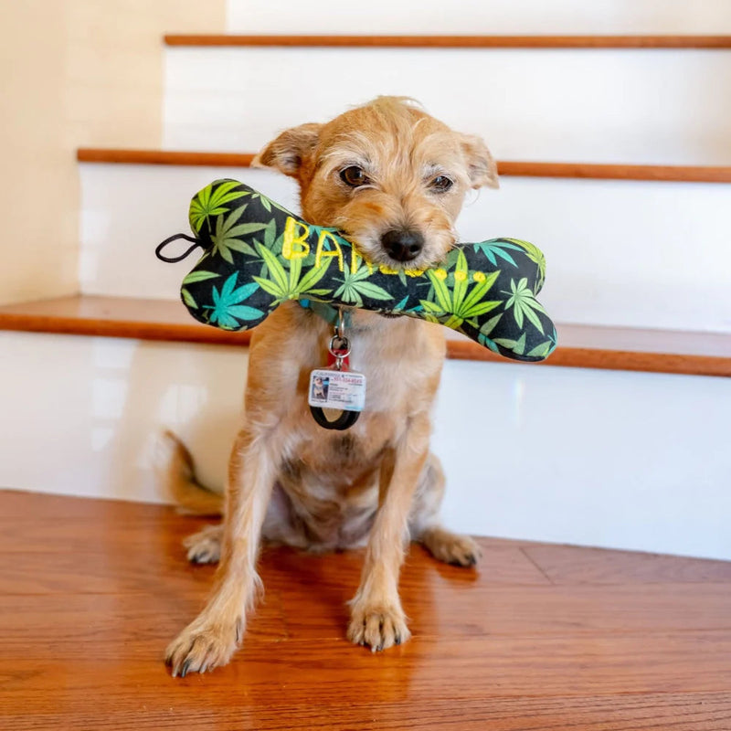 Power Plush Baked Bone Dog Toy Large-Four Muddy Paws