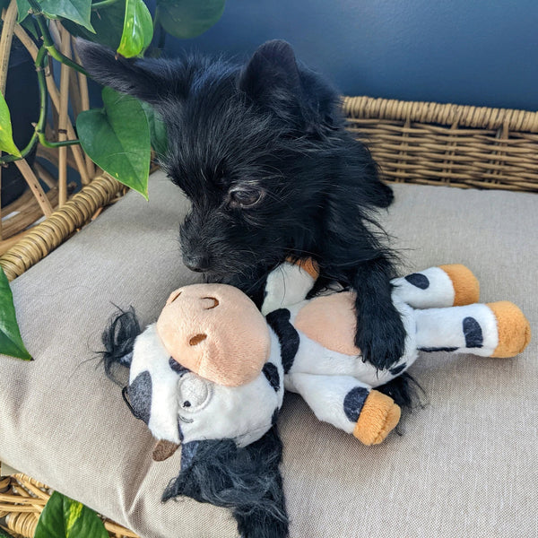 Power Plush Clarence Cow Dog Toy Large-Four Muddy Paws