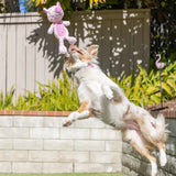 Power Plush Piggy Smalls Dog Toy Large-Four Muddy Paws