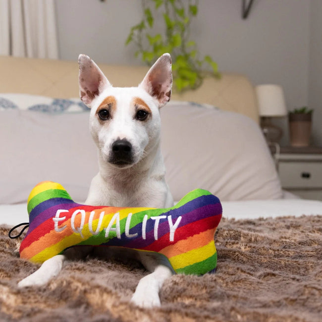 Power Plush Pride Equality Bone Dog Toy Small-Four Muddy Paws