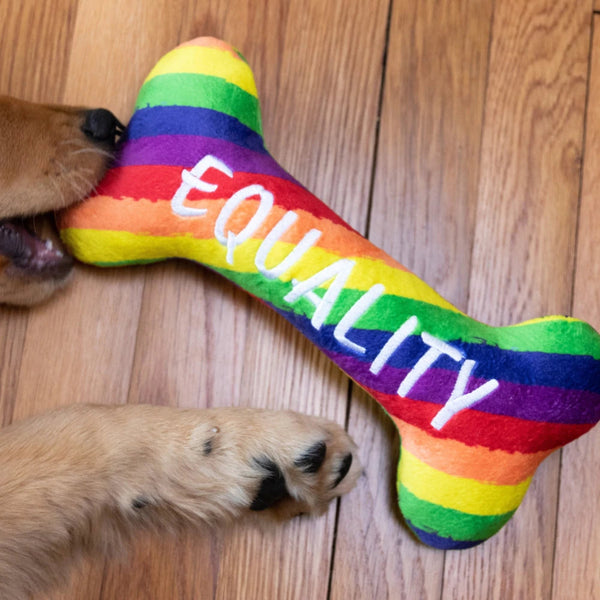 Power Plush Pride Equality Bone Dog Toy Small-Four Muddy Paws