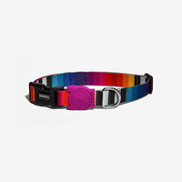 Prisma Dog Collar Medium-Four Muddy Paws