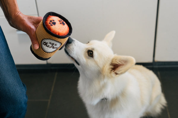 Pup Cup Cafe Toy Doggo's Java-Four Muddy Paws
