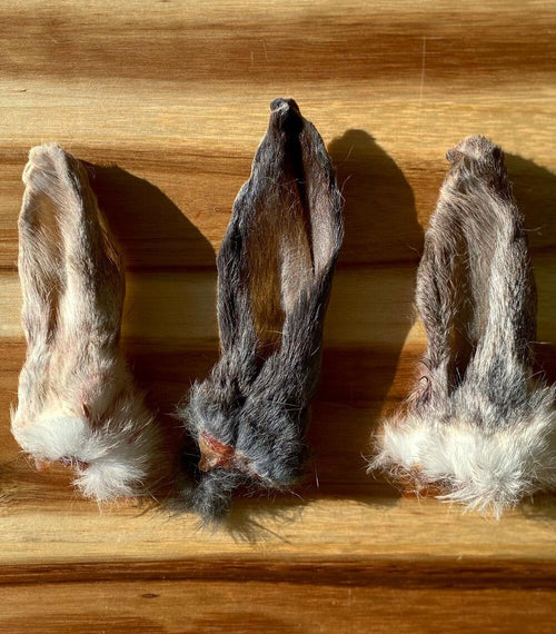 Rabbit Ear-Four Muddy Paws