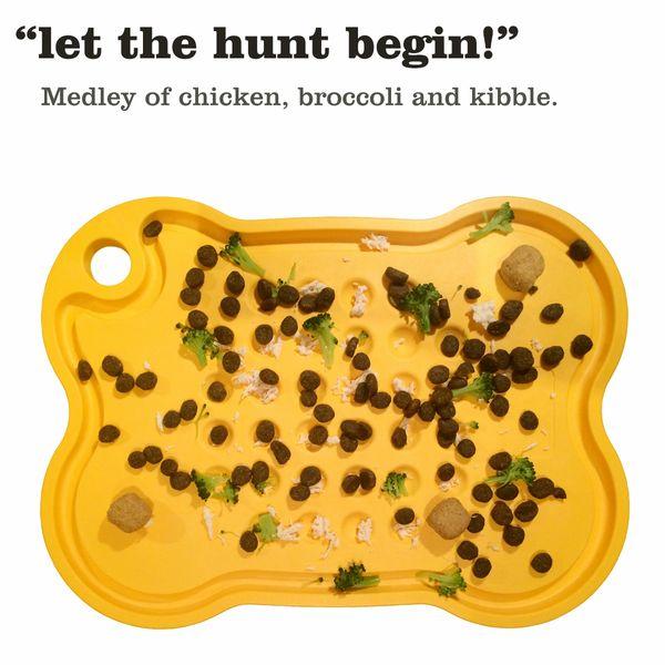 SMALL BONE TEAL FEEDING PLATTER SMALL TEAL-Four Muddy Paws