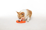 SPIN Accessories Lick Frisbee Orange Medium-Four Muddy Paws