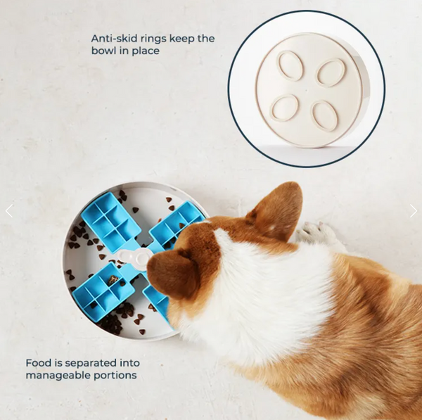 SPIN Interactive Feeder Windmill Blue-Four Muddy Paws