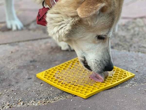 https://shop.fourmuddypaws.com/cdn/shop/products/SodaPup-TPE-Emat-Honeycomb-Yellow-Large-Four-Muddy-Paws-4_grande.jpg?v=1646444301