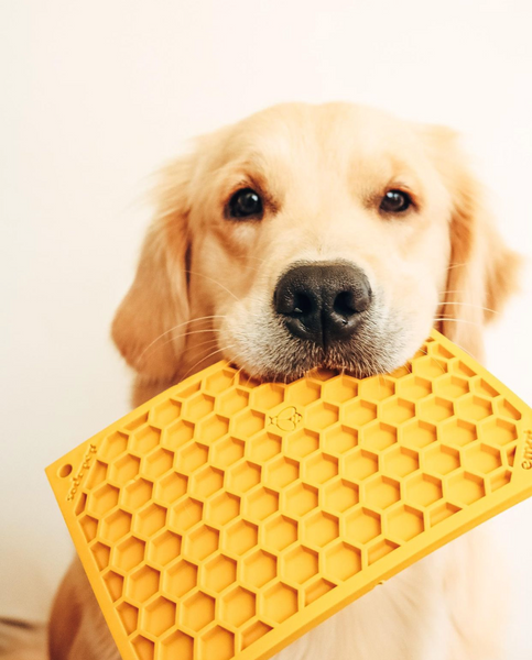https://shop.fourmuddypaws.com/cdn/shop/products/SodaPup-TPE-Emat-Honeycomb-Yellow-Large-Four-Muddy-Paws-5_grande.png?v=1646444307