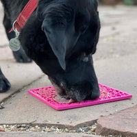 SodaPup TPE Emat Jigsaw Pink Large-Four Muddy Paws