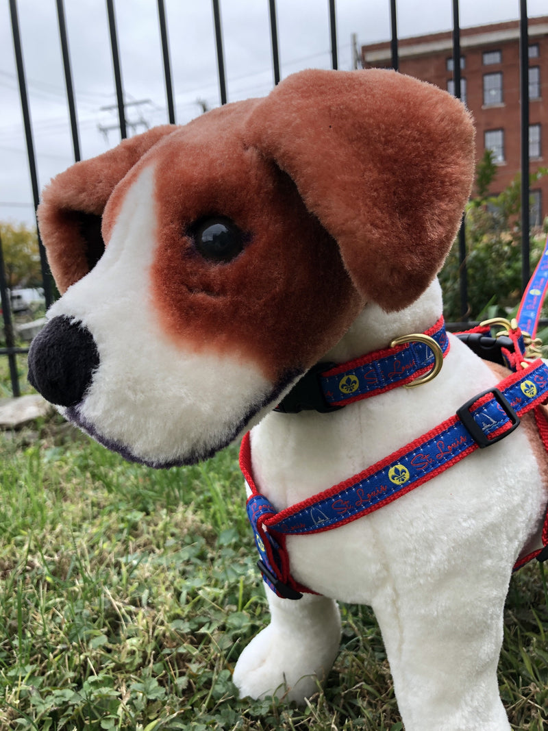 St. Louis Custom Dog Collars-Four Muddy Paws