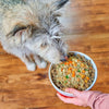 Stella & Chewy's Freshmade Chick-a-Lick'n Gently Cooked Dog Food 16oz-Four Muddy Paws