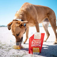 Stella and Chewy's Bountiful Bone Broth Chicken 16oz-Four Muddy Paws