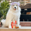 Stella and Chewy's Bountiful Bone Broth Chicken 16oz-Four Muddy Paws