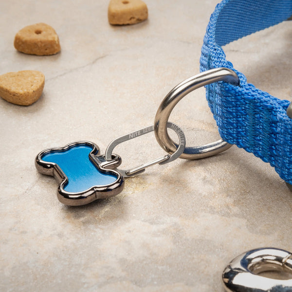 TagLink Stainless 2 Pack-Four Muddy Paws