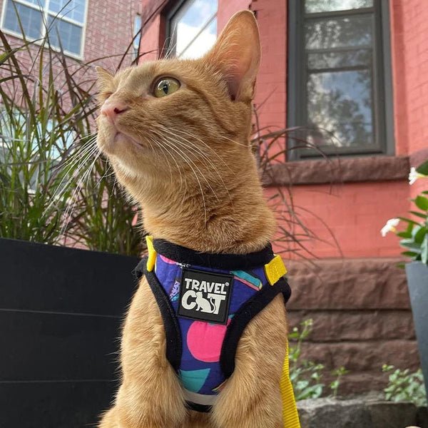 St. Louis Blues Dog Cat Mini Backpack Harness w/ Leash