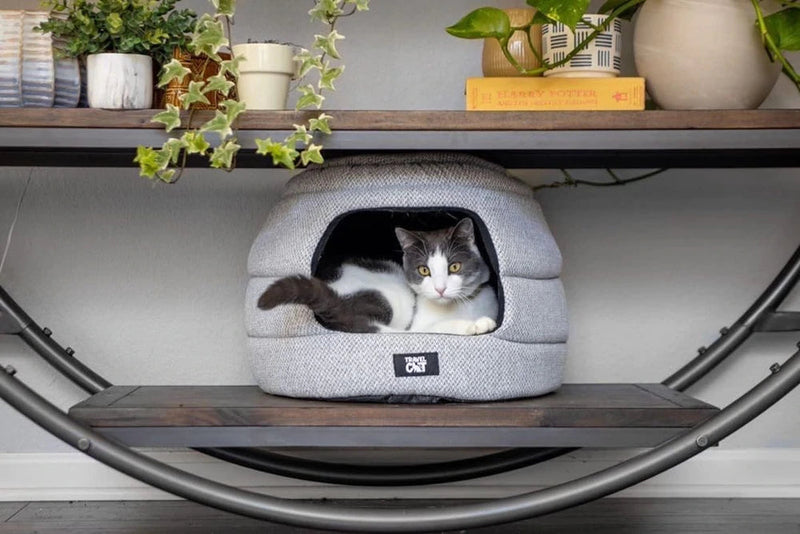 The Meowbile Home Convertible Cat Bed and Cave-Four Muddy Paws