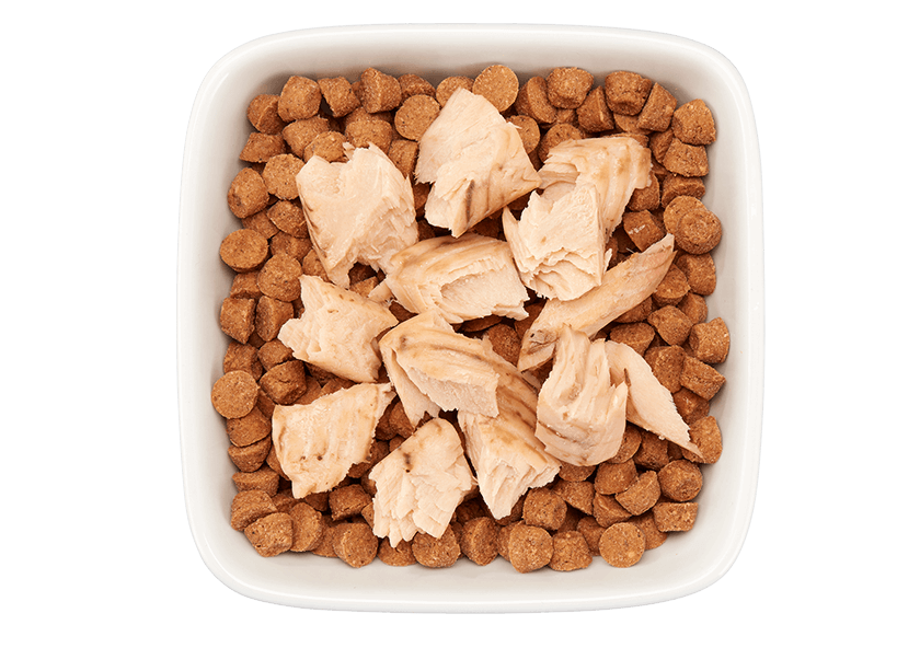 Tiki Pet Cat Filet Salmon 1oz-Four Muddy Paws