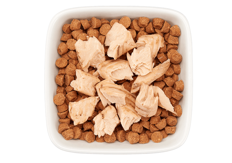 Tiki Pet Cat Filet Salmon 1oz-Four Muddy Paws