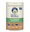 Under The Weather Dog Diet-Four Muddy Paws