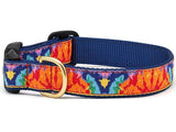 Up Country Dog Collars-Four Muddy Paws