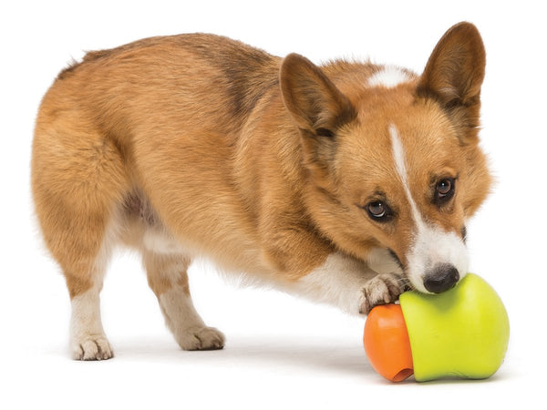 Rainbow Snuffle Ball - Canine Crazies